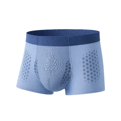 𝐀𝐤𝐲𝐠𝐨® 𝟐𝟎𝟐𝟔 𝐌𝐨𝐫𝐢𝐧𝐠𝐚 x 𝐁𝐞𝐫𝐛𝐞𝐫𝐢𝐧𝐞 x 𝐍𝐀𝐃+ 𝟔-𝐈𝐧-𝟏 𝐌𝐢𝐜𝐫𝐨-𝐏𝐚𝐫𝐭𝐢𝐜𝐥𝐞 𝐒𝐜𝐮𝐥𝐩𝐭𝐢𝐧𝐠 & 𝐅𝐚𝐭-𝐁𝐮𝐫𝐧 𝐒𝐡𝐨𝐫𝐭𝐬 (Women + Men with Enhanced Male Vitality Blend)